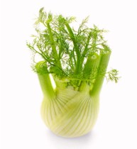 fenouil