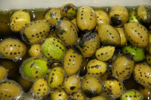 Les laisser tremper dans l'eau froide