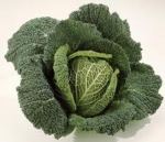 Chou vert frisé