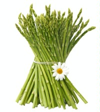 Asperges vertes fines