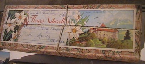 colis de narcisses © Narcisses Riviera