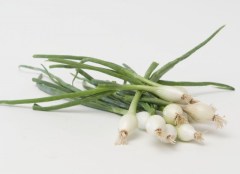 oignons nouveaux