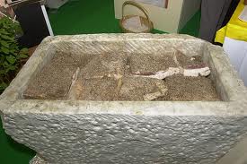 Le bassin une fois remplit