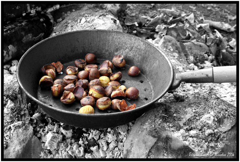 Copyright Greg Derivaz