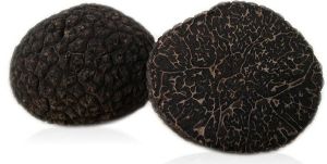 truffe melanosporum