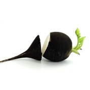 Radis noir