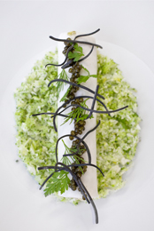 Tourteau et chou-fleur