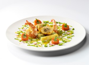 g_steiger_image_plat