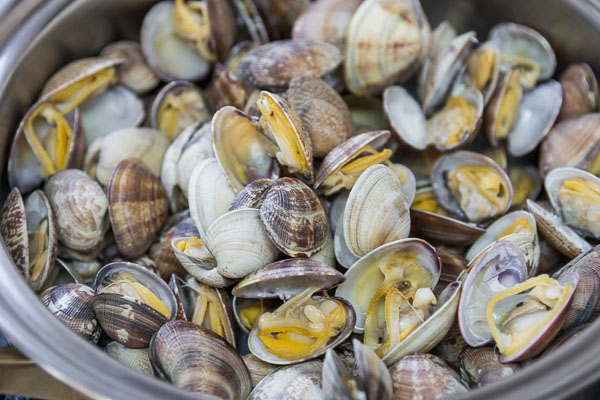 Cuisson des Palourdes