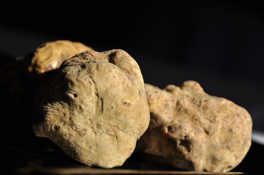 Arrivage du 24.10.14 Pont de Brent