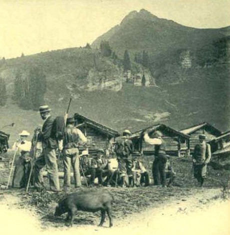 Dictionnaire géographique du canton de Vaud, Attinger, 1928, article Taveyannaz