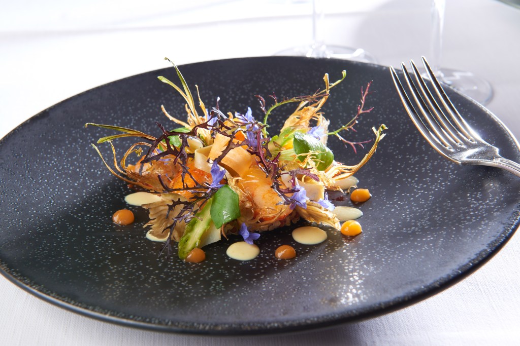 © Sedrik Nemeth www.sedriknemeth.com