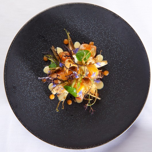 © Sedrik Nemeth www.sedriknemeth.com