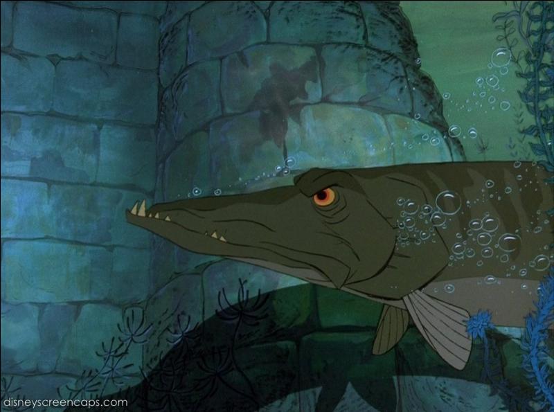 Le Fameux Brochet du Dessin animé "Merlin l'enchanteur"