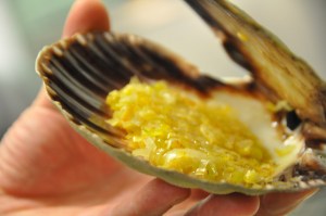 Garnir le fond des coquilles.