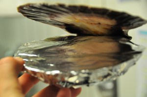 Refermé avec la feuille d'aluminium beurrée