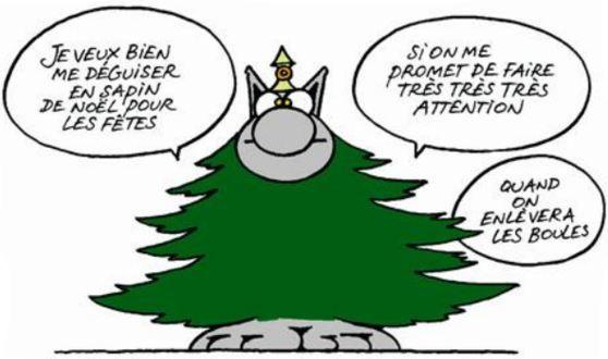 genial-chat-L-es0Ut7