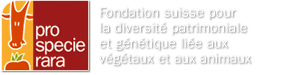 LogoCHfr
