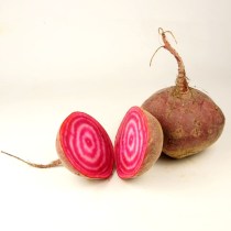betterave-chioggia