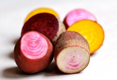 betteraves_multicolores