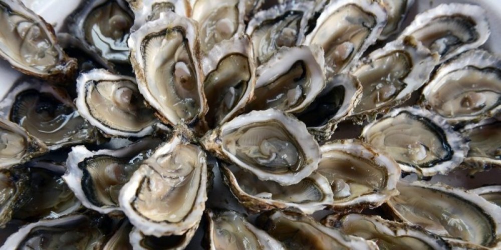 Plat d'huîtres