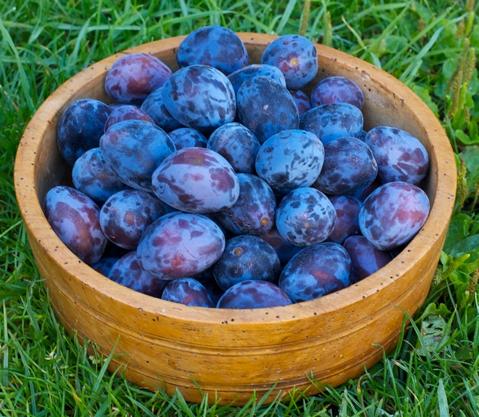 image-schwander-fruits-ch