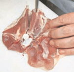 Désosser les cuisses de volaille ©Alain Giroud TDG